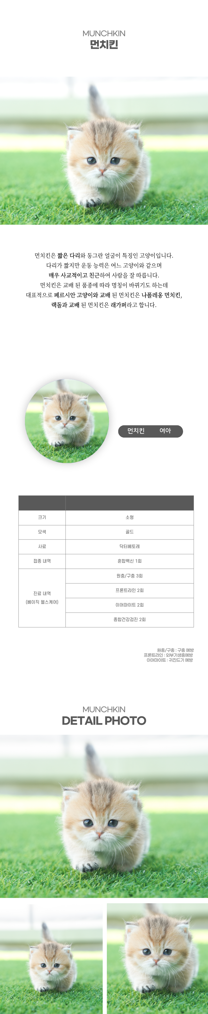 먼치킨_상세이미지_2